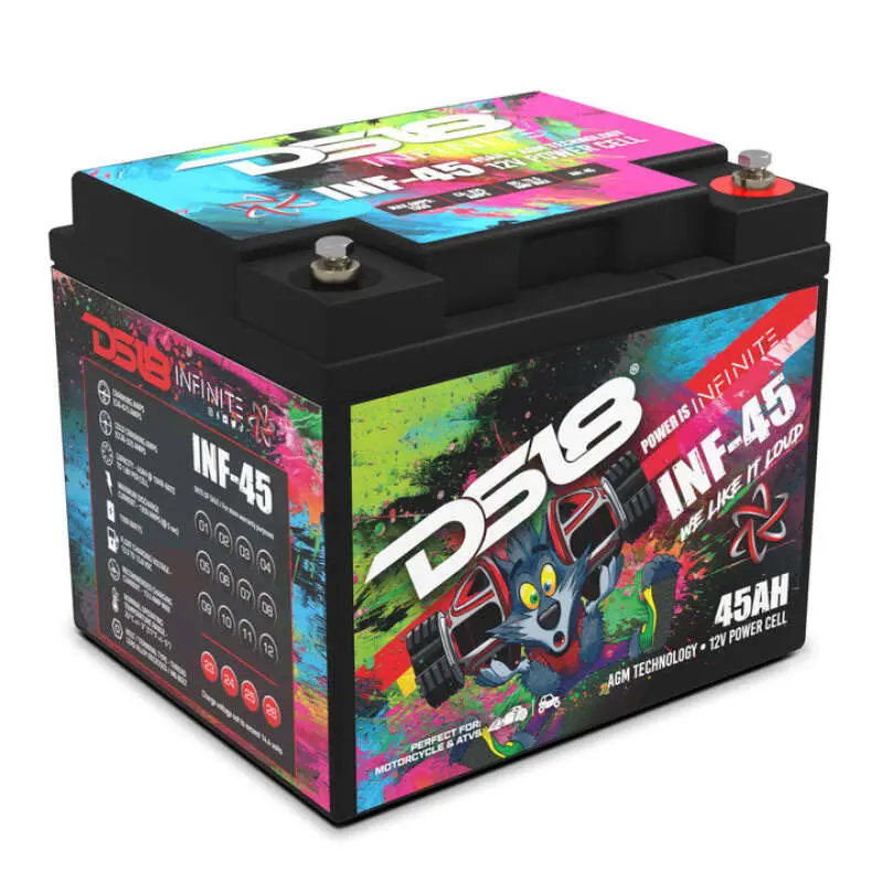 Ds18 1500 Watts 45 Ah Infinite Agm Power Cell Battery 1