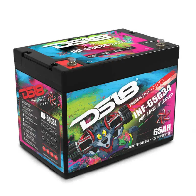 Ds18 2000 Watts 65 Ah Infinite Agm Power Cell Battery Group 34 1