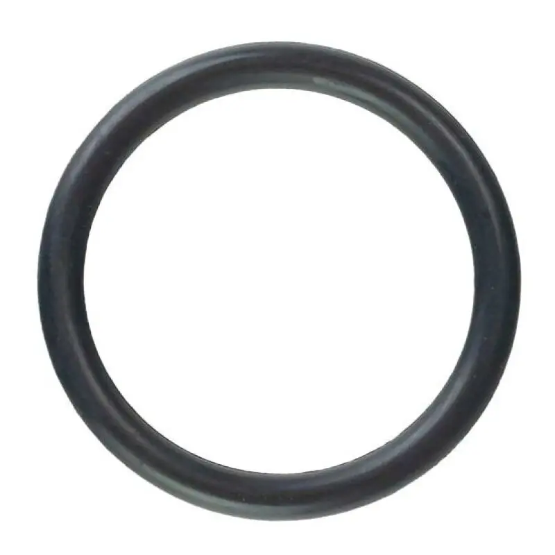 Moroso 1-3/8In 12 Thread Filler Cap O-Ring 1