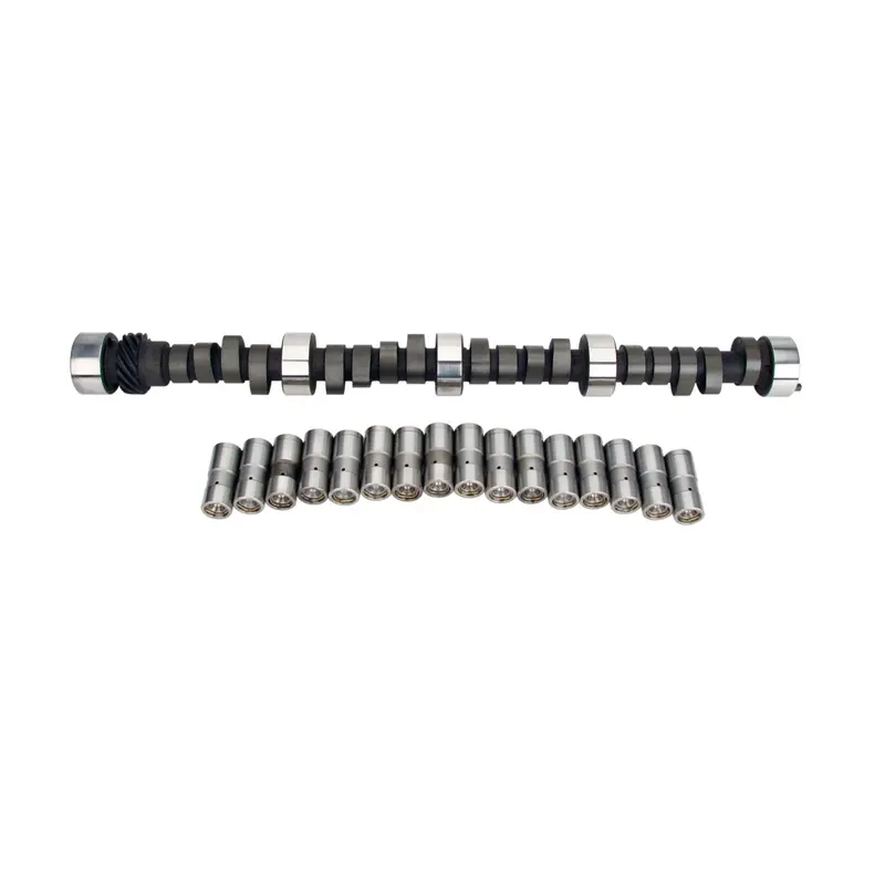 Lunati 10120100Lk Bare-Bones Hydraulic Flat-Tappet Cam – 204/214 For Chevrolet Small-Block V8 1